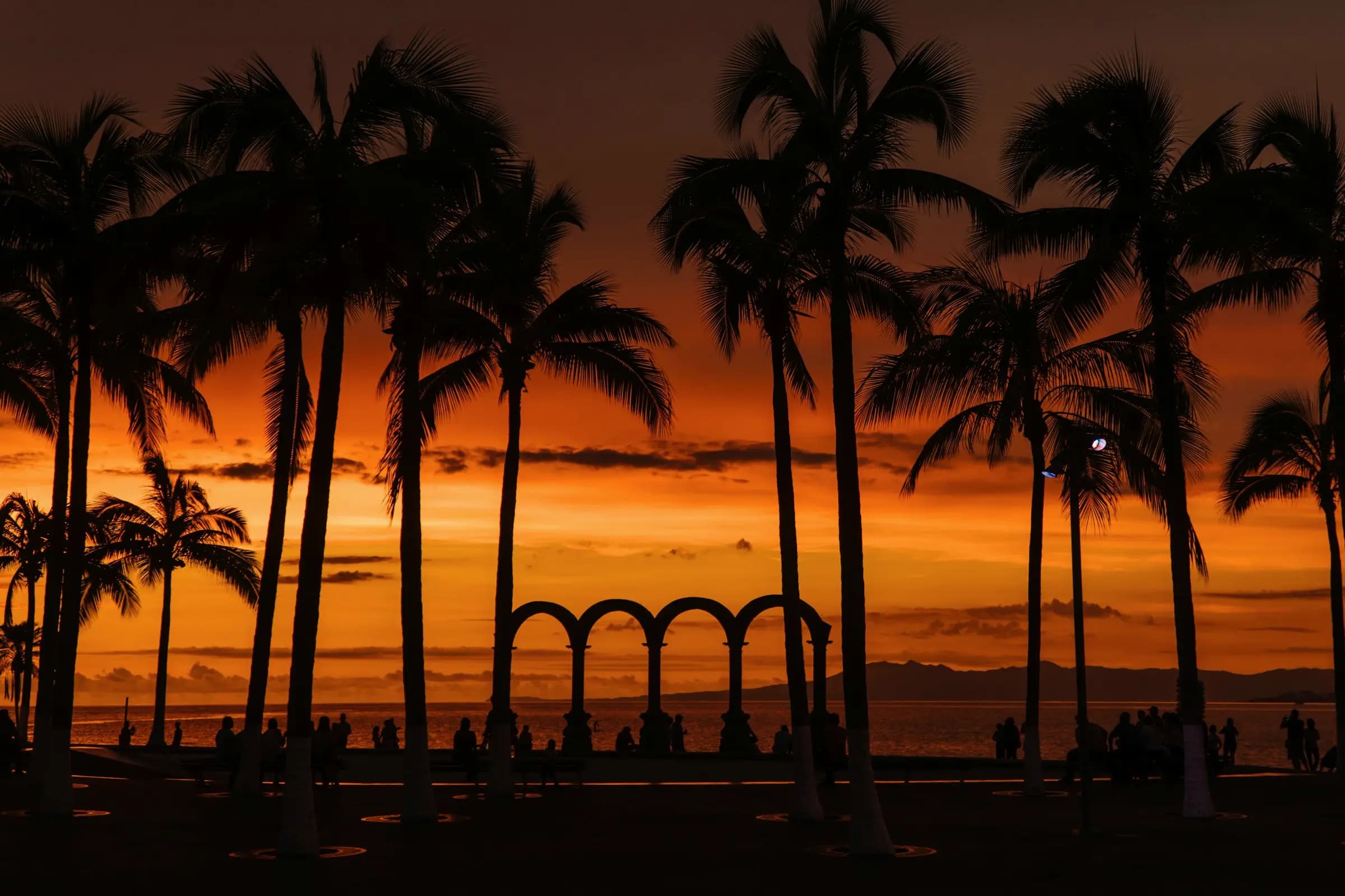 Atardecer en el malecón de Puerto Vallarta, con palmeras a contraluz.